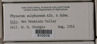 Image Associated With the Occurence